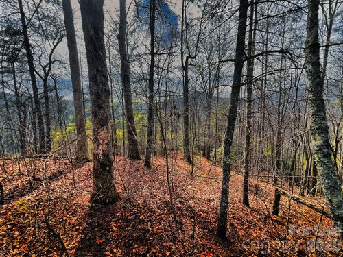 82-232 Thorncliff Road, Marshall, NC, 28753 | Card Image