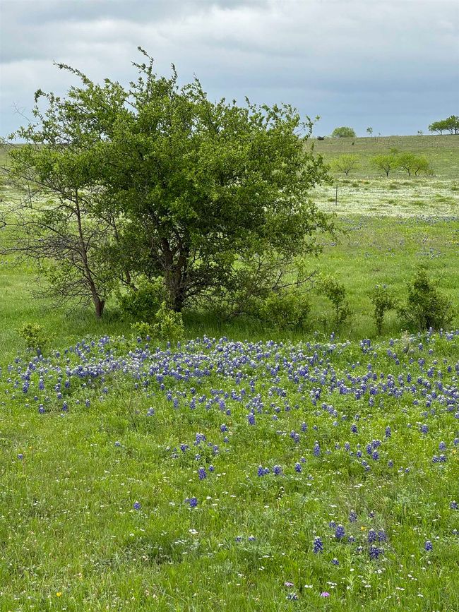 2332 County Road 2109, Home with 0 bedrooms, 0 bathrooms and null parking in Lometa TX | Image 13