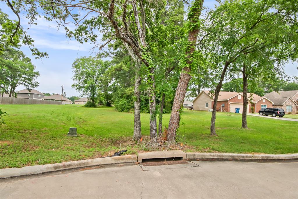 12995 Point Aquarius Boulevard, For Sale in Willis Zoocasa