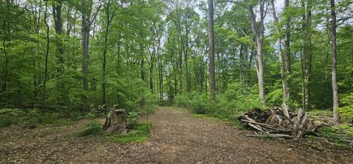 2225 Caney Branch Rd, Stewart, TN, 37175-7630 | Card Image