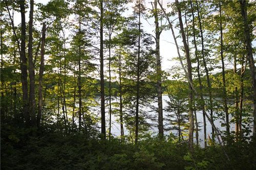 Lot 1 Timber Wolf Drive, BASS LAKE, WI, 54875 | Card Image