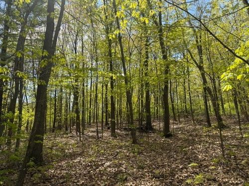 TBD First St, Taylors Falls, MN, 55084 | Card Image