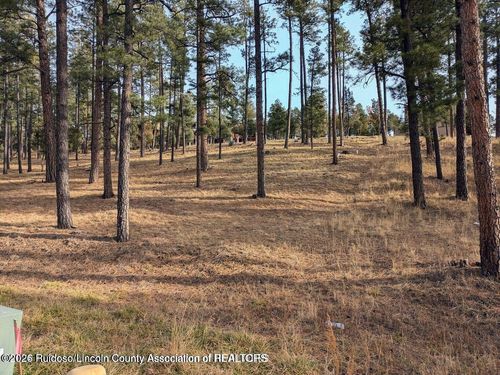 322 White Mountain Meadows Dr, Ruidoso, NM, 88345-5822 | Card Image
