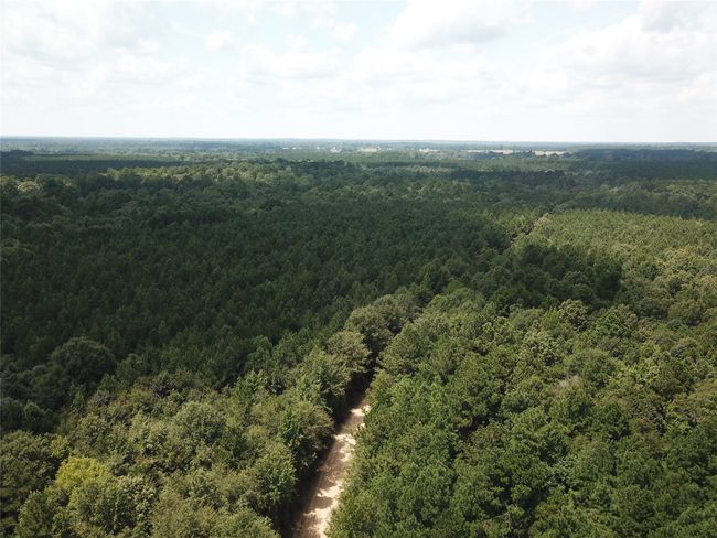 00 Highway 371, Home with 0 bedrooms, 0 bathrooms and null parking in Rosston AR | Image 5