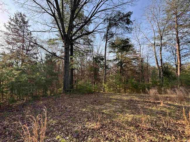 10321 W 750 N, Home with 0 bedrooms, 0 bathrooms and null parking in Jasonville IN | Image 12