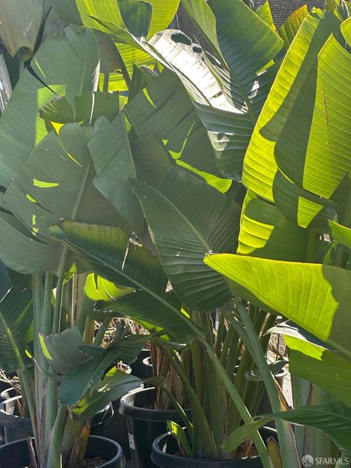 480 Monterey St, Brisbane, CA, 94005-1551 | Card Image