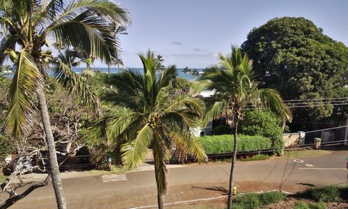 unit-c-301 Paani Pl, Paia, HI, 96779-9703 | Card Image