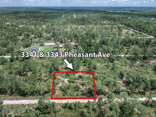 3341 & 3343 Pheasant Avenue, LAKE PLACID, FL, 33852 | Card Image