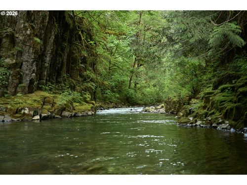 1241 N Fork Rd, Washougal, WA, 98671 | Card Image