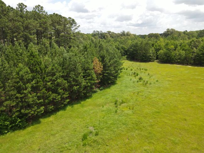 DJI_0552 | Image 17