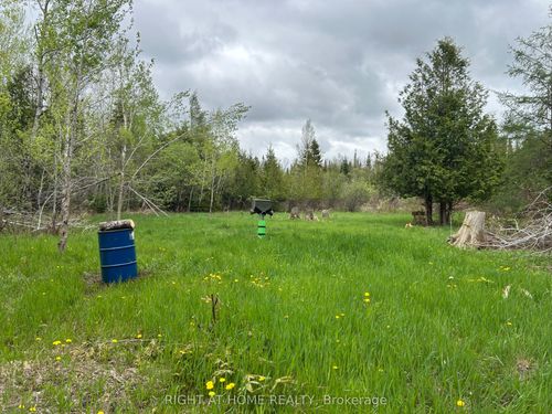 0 Mount Horeb Road, Kawartha Lakes, ON, K0L2K0 | Card Image