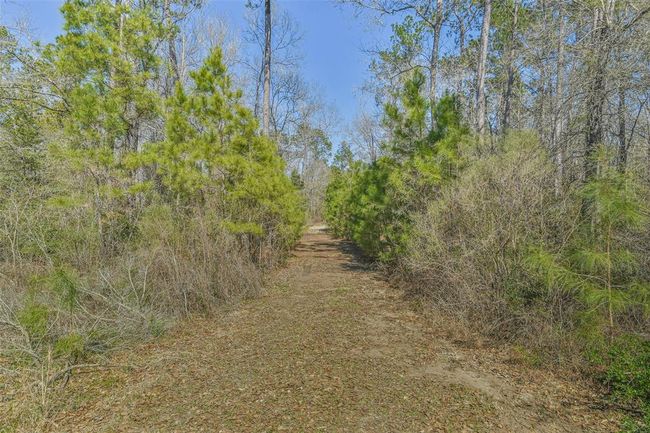 35 Old Sign Rd, Home with 1 bedrooms, 1 bathrooms and null parking in Midway TX | Image 37
