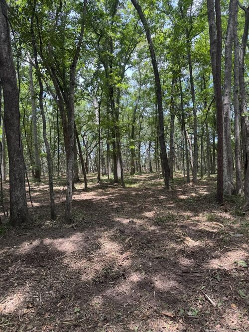 00 Beagle Club Rd, Hollywood, SC, 29449 | Card Image