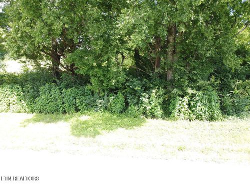 00 County Road 436, Athens, TN, 37303 | Card Image