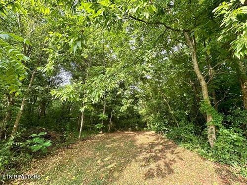 0 Sweetwater Vonore Rd, Sweetwater, TN, 37874 | Card Image