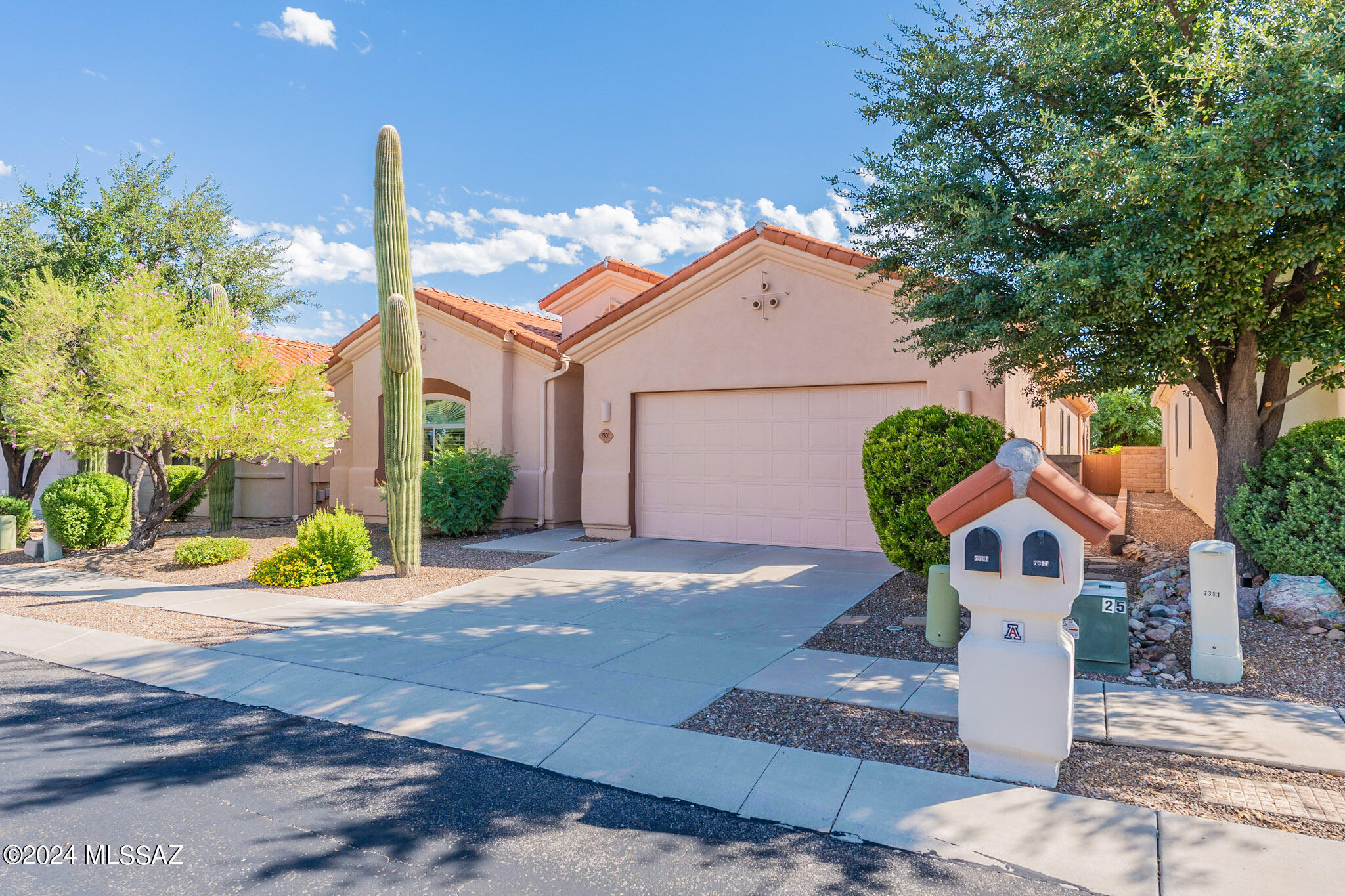 Vuelta Rancho Mesquite , Tucson, AZ 85715