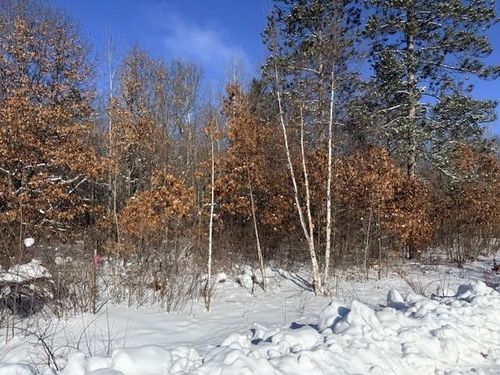 1608 Pineview Ln, Tomahawk, WI, 54487-2011 | Card Image