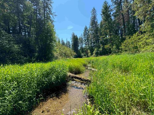 340 N Beck Ln, Springdale, WA, 99173 | Card Image