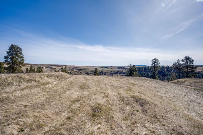 6E Red Tail Ridge Rd, Home with 0 bedrooms, 0 bathrooms and null parking in Colfax WA | Image 13