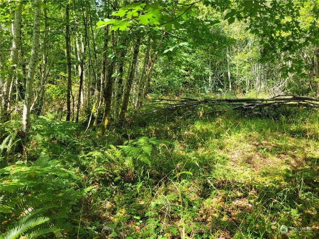 building site | Image 8