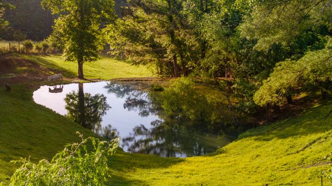 310 Moore Rd, House other with 5 bedrooms, 4 bathrooms and null parking in Charleston TN | Image 46