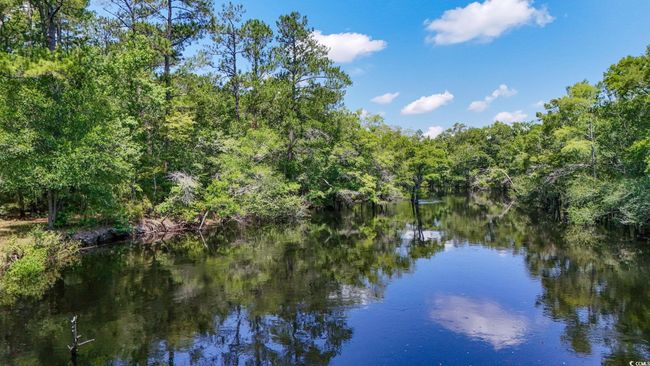 Water view featuring a forest | Image 8