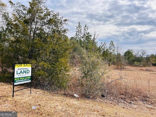 0 Georgia Rd, Butler, GA, 31006 | Card Image