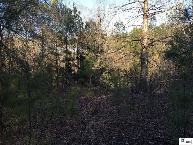 000 Highway 15, Home with 0 bedrooms, 0 bathrooms and null parking in Downsville LA | Image 25