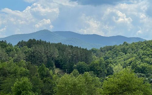 Lot 14B Saddle Ridge Dr, Warne, NC, 28909 | Card Image