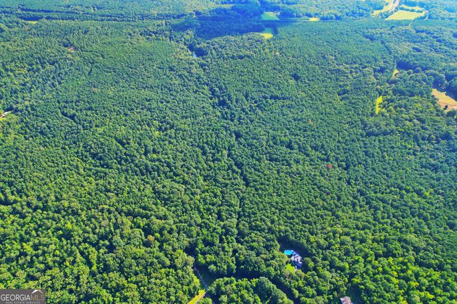 198.62+/- ACRES Apalachee Woods Trl, Home with 0 bedrooms, 0 bathrooms and null parking in Buckhead GA | Image 7