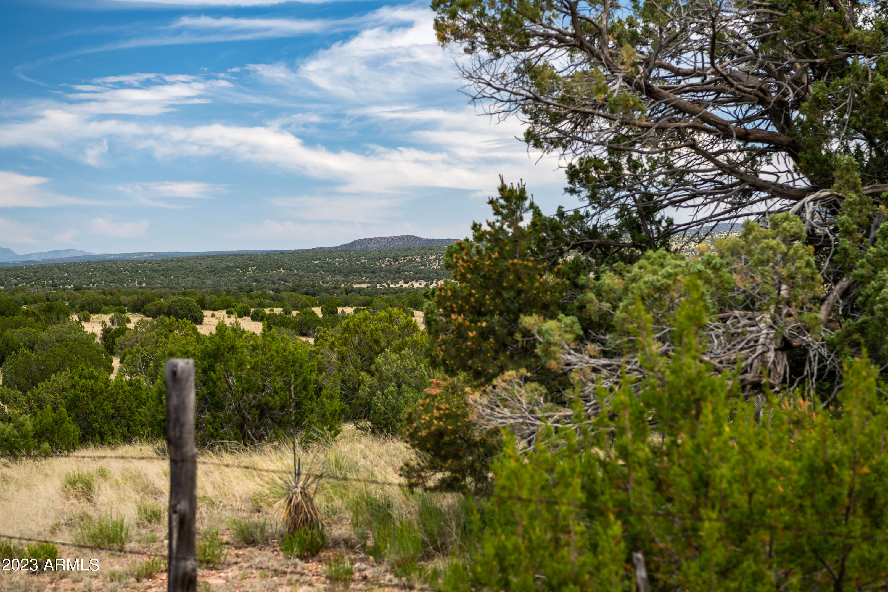 Land in Seligman 3