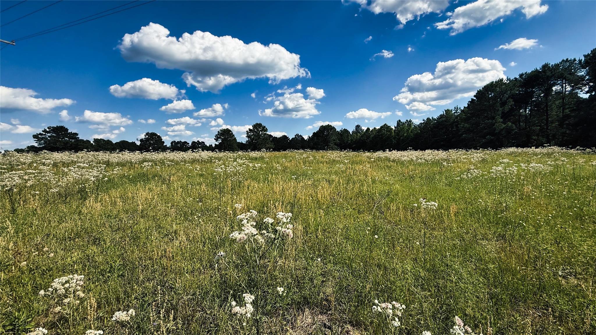 Land in Henderson 2