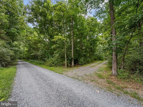 Lot 4 Rock Hall Farm Ln, BERRYVILLE, VA, 22611-3275 | Card Image