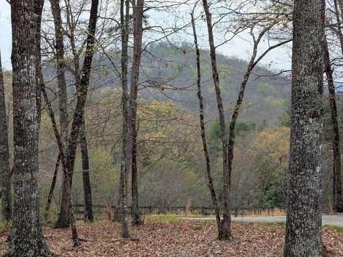 12 Daisy Dr, Brasstown, NC, 28902 | Card Image