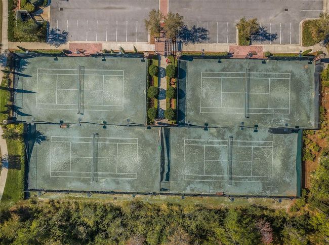 29038 Picana Ln, House other with 4 bedrooms, 4 bathrooms and null parking in WESLEY CHAPEL FL | Image 90