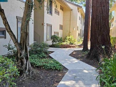 109 - Oak Rd, Condo with 1 bedrooms, 1 bathrooms and 1 parking in Walnut Creek CA | Image 1