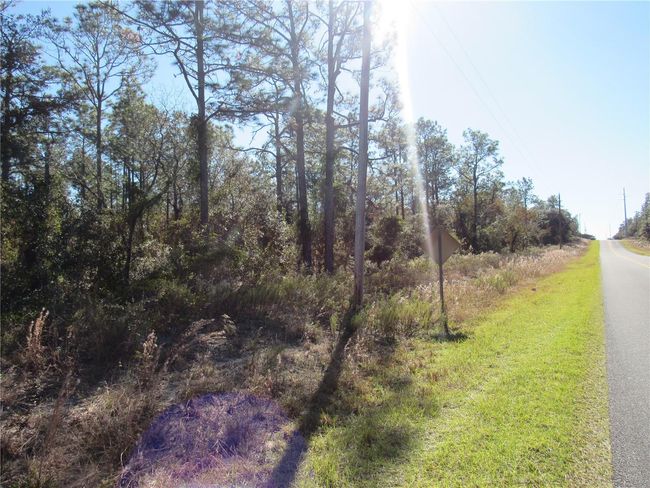 Just 10-30 Minutes To Dunnellon, Crystal River, Inverness & Ocala..1.03 Acre New Build Site For Your Future Florida Dream Home! | Image 3