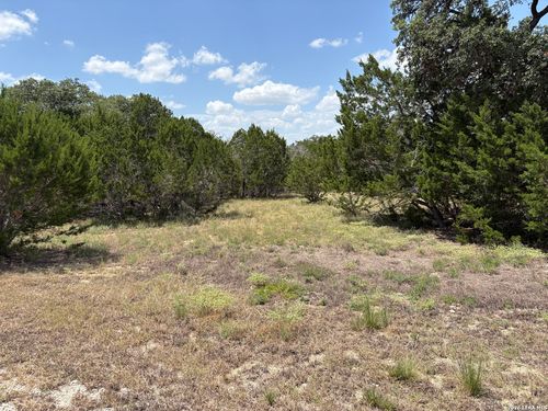 132 Palomino Spgs, Bandera, TX, 78003 | Card Image
