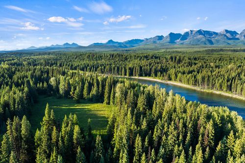 NHN N Fork Rd, Polebridge, MT, 59928 | Card Image