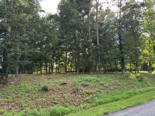 Lot 59 Macgregor Dr, Blue Ridge, VA, 24064-1525 | Card Image