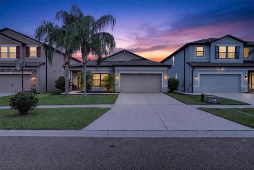 11418 Amapola Bloom Ct, RIVERVIEW, FL, 33579-8411 | Card Image