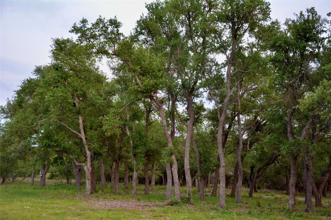 View of nature | Image 10