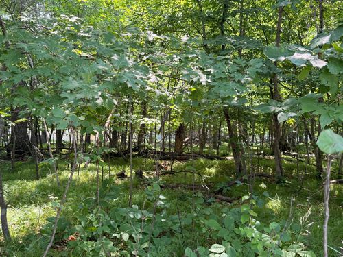 TBD Breezy Point Blvd, Pequot Lakes, MN, 56472 | Card Image