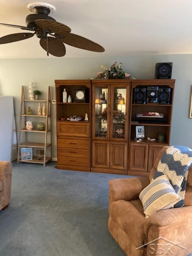 Residential in Thomas Township 2