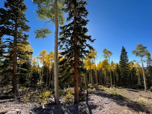 377 N Upper Meadow Dr, Beaver, UT, 84713 | Card Image