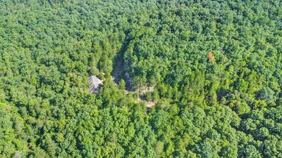 0 Wilder Rd, Home with 0 bedrooms, 0 bathrooms and null parking in Wilder TN | Image 1