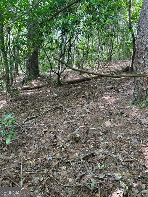 0 Pine Log Church Rd, BRASSTOWN, NC, 28902 | Card Image