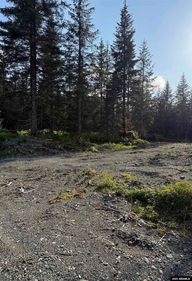 LOT-3-BLOCK-15 - 372 Cedar St., Home with 0 bedrooms, 0 bathrooms and null parking in Yakutat AK | Image 7