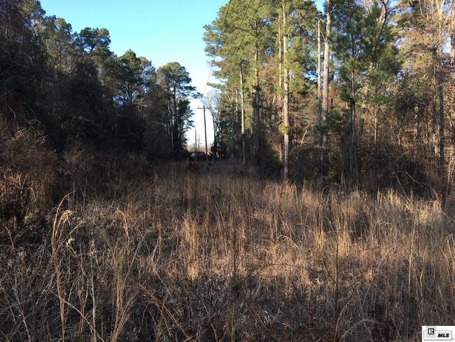 000 Highway 15, Home with 0 bedrooms, 0 bathrooms and null parking in Downsville LA | Image 12
