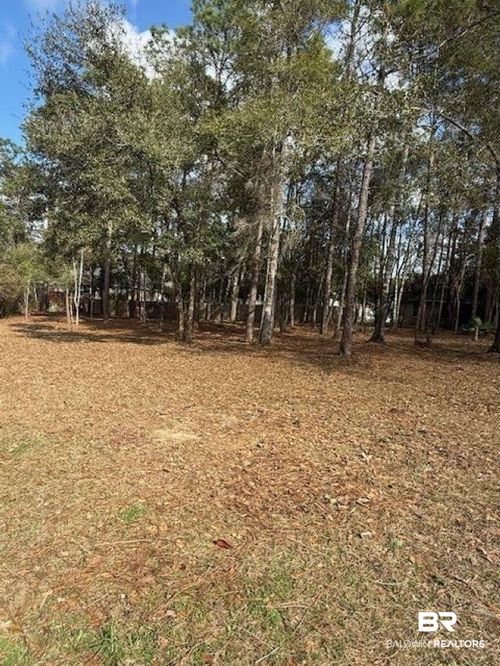 lot 302 Bunker Loop, Fairhope, AL, 36532-7299 | Card Image